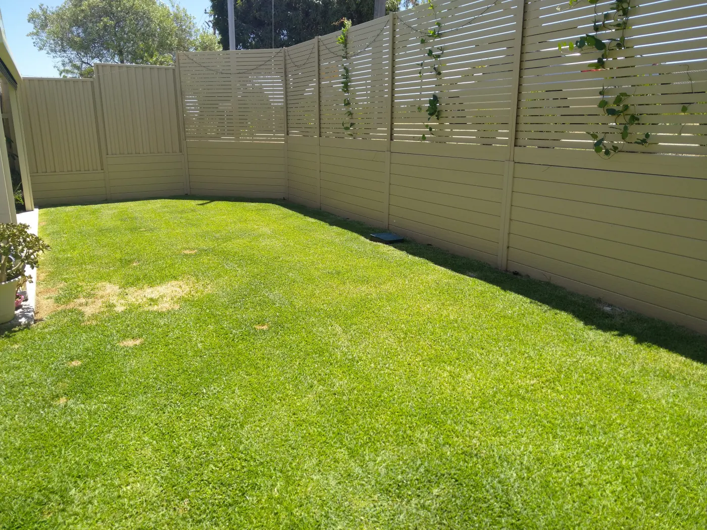 Gates in Armadale